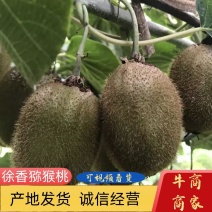 河南西峡徐香猕猴桃绿心猕猴桃产地源头量大电商批发