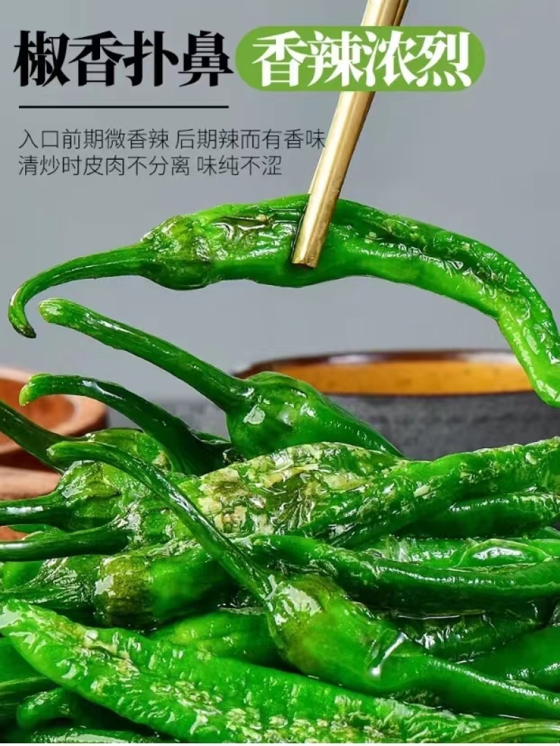 【精品辣椒】樟树青辣椒诚招合伙人，商标授权，渠道不限
