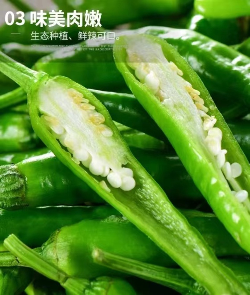 【精品辣椒】樟树青辣椒诚招合伙人，商标授权，渠道不限