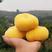 油蟠7号桃树苗品种纯正根系发达现挖现发保湿发货