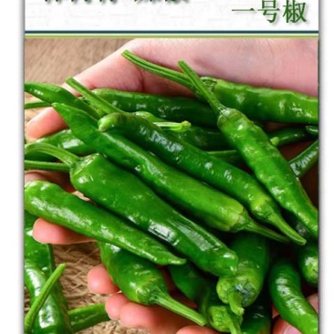 樟树青辣椒【寻合伙加盟】种子公司种植基地农庄农户联营合作