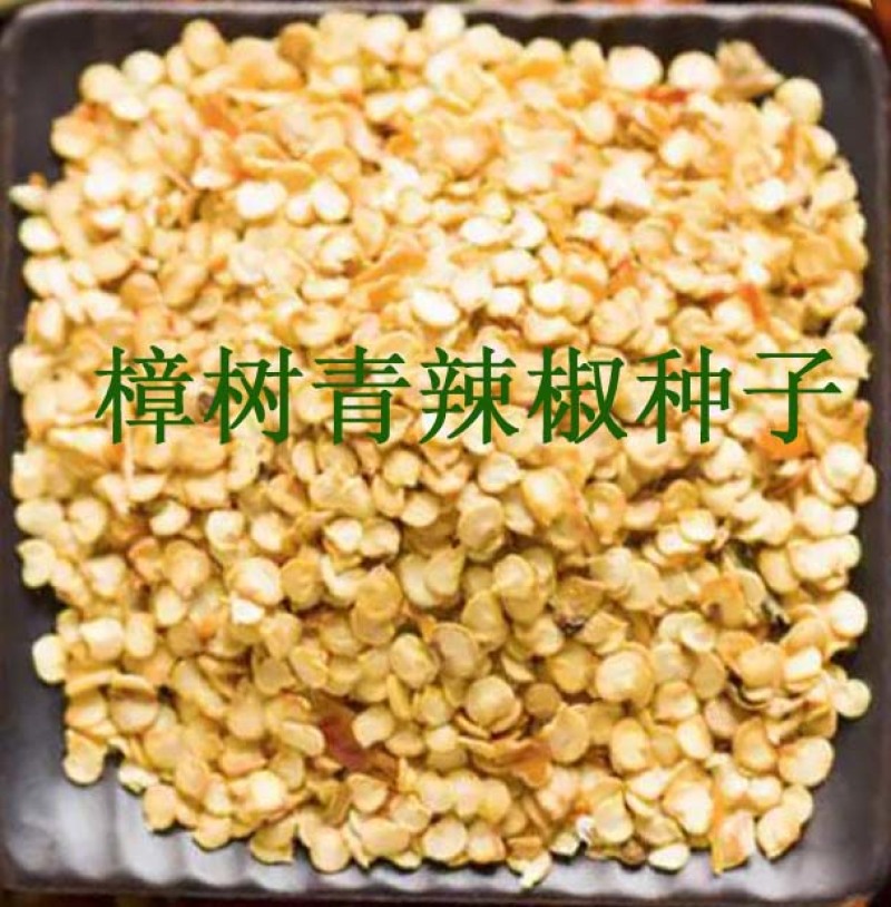 樟树青辣椒【寻合伙加盟】种子公司种植基地农庄农户联营合作
