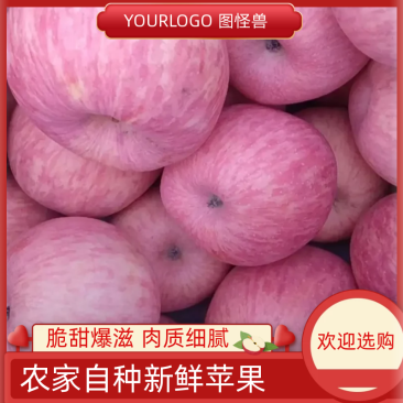 山西吉县红富士苹果大量上市脆甜可口欢迎老板联系预定