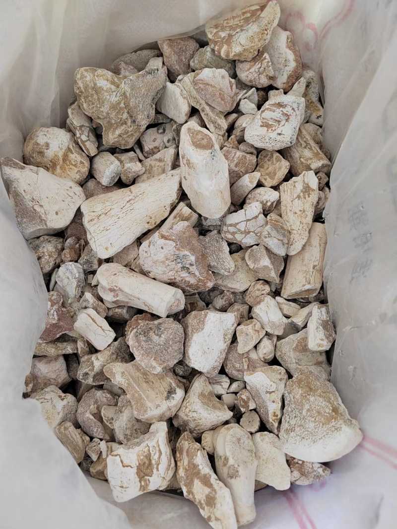 矿物龙骨中药材，诚信经营，量大从优，欢迎选购