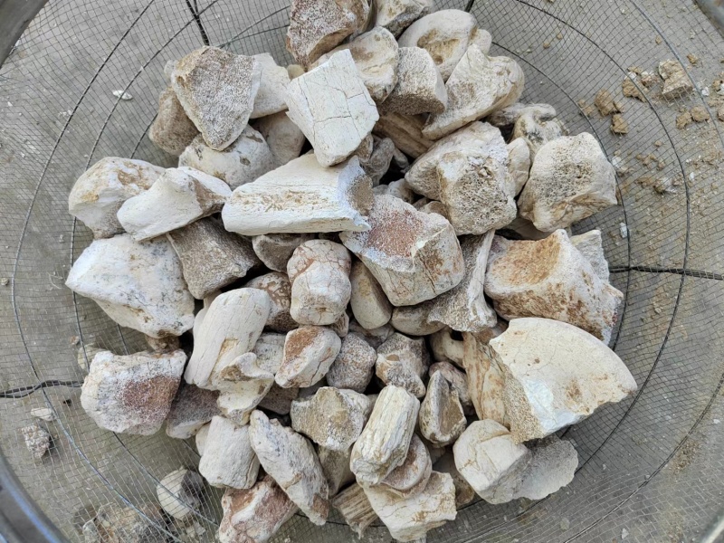 名贵药材龙骨，品质有保障，诚信经营，量大从优，欢迎选购