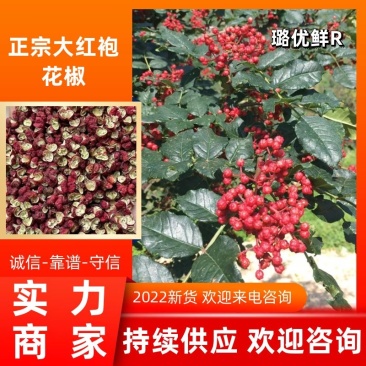 【推荐】花椒大红袍花椒富平梅花椒产地发货，长期供应
