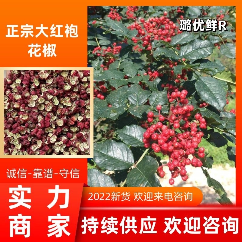 【推荐】花椒大红袍花椒富平梅花椒产地发货，长期供应