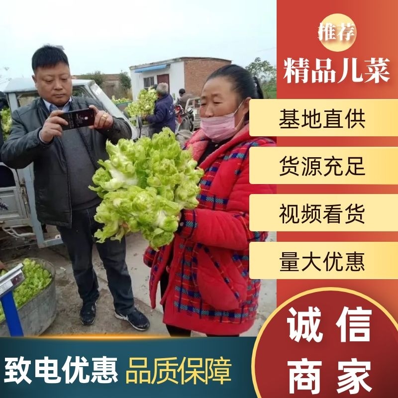 儿菜万亩基地，质量高价格好，量大从优，跟踪服务！
