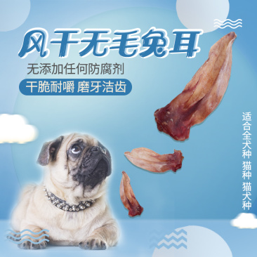 嘎嘣宠物零食狗狗猫猫磨牙棒风干兔耳朵训练场用
