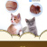 嘎嘣宠物零食狗狗猫猫磨牙棒风干兔耳朵训练场用