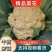 安徽宿州有机花砀山松花菜散花小米花产地直发