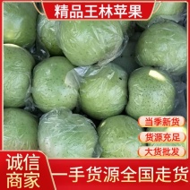 王林苹果翠绿色.脆甜香味.没酸头.口感特脆特甜.冷库保鲜