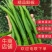 砀山精品线椒菜面干净鲜亮无虫眼颜色正个头均匀