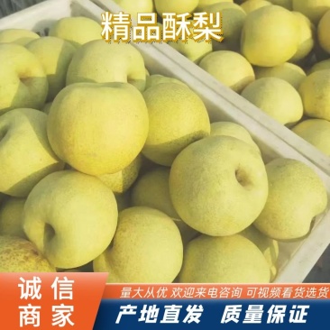 砀山酥梨大量上市有想法的老板请联系代办代发全国各地