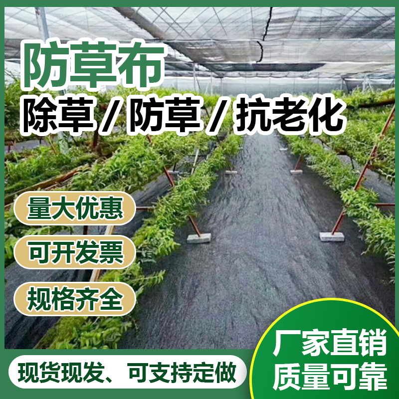 加厚防草布除草布农用打孔盖草抑草遮草布透气透水抗老化果园