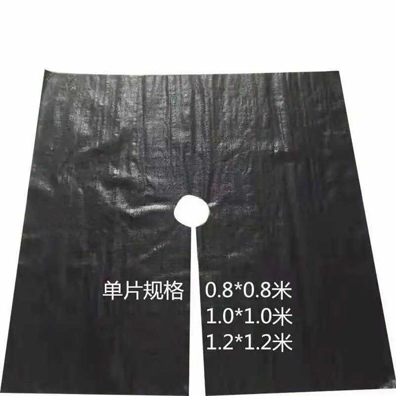 加厚防草布除草布农用打孔盖草抑草遮草布透气透水抗老化果园