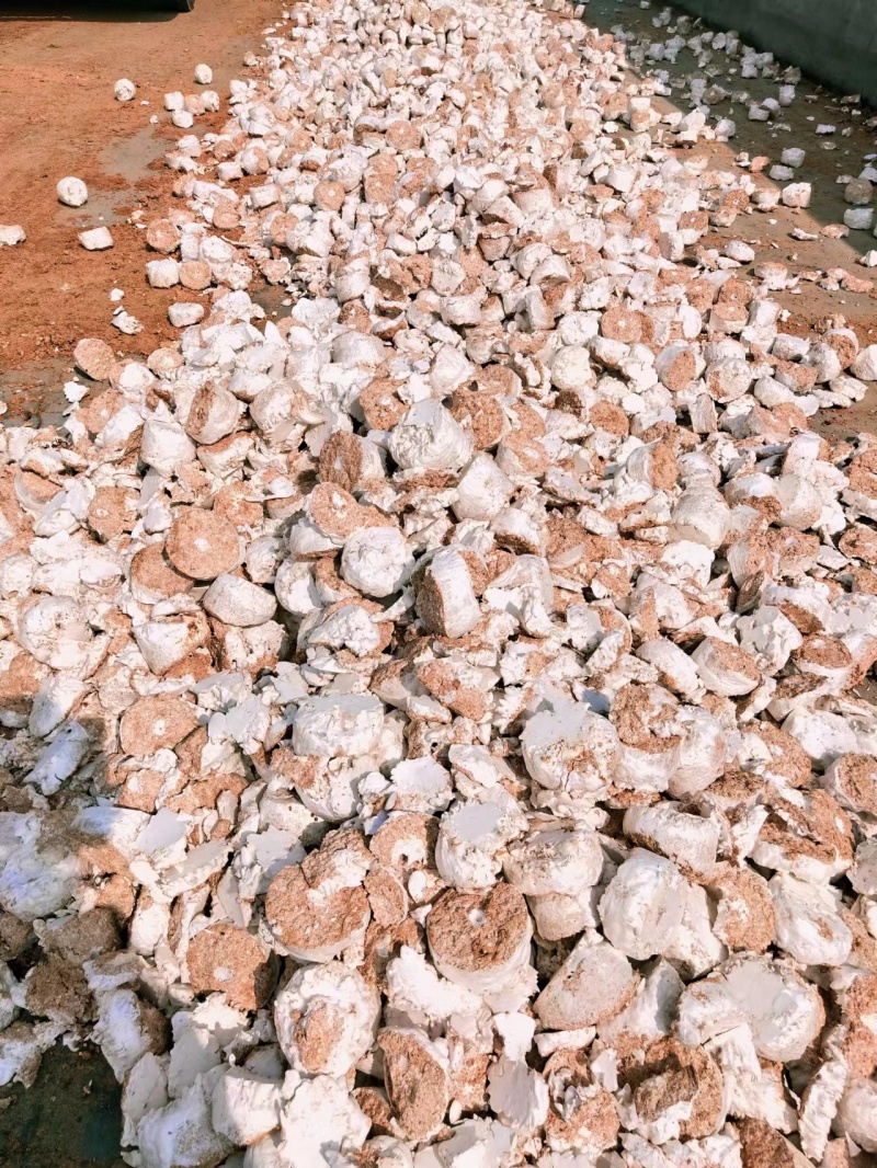 【基地发货】杏鲍菇菌袋天然绿色有机肥一手货源量大价低质量保证