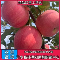 山东纸袋红富士苹果鲜果大量供应优质货源对接电商商超