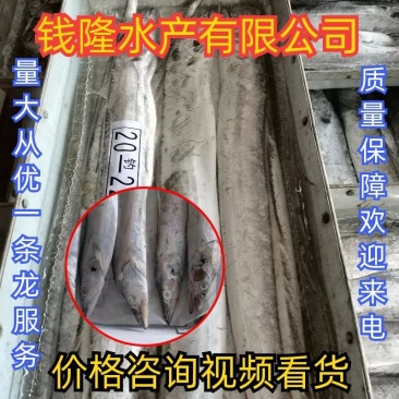 舟山带鱼，精品礼盒，厂家直发，欢迎产地咨询
