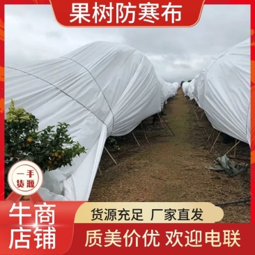 果树防寒布，柑橘防寒布，加抗老化，量大电话，年后发货