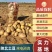 陕北榆林V系列土豆大量上市品种有V7，V8等