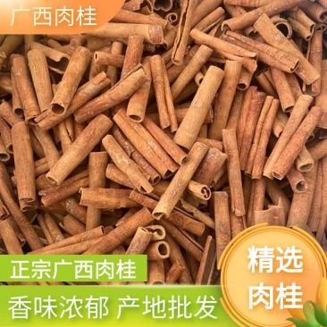 广西烟桂肉桂皮干货去皮桂皮香料散装香辛料调料卤料可批