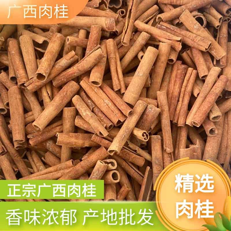 广西烟桂肉桂皮干货去皮桂皮香料散装香辛料调料卤料可批