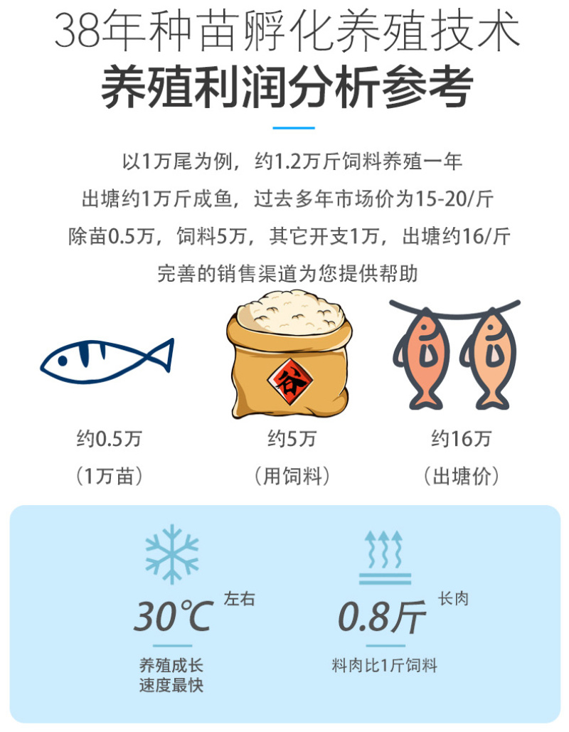 四川眉山丁桂鱼苗半冷水鱼好养活特种鱼苗养殖基地包邮淡水小