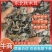 秋木耳，黑木耳东北黑木耳产地一手货源量大从优欢迎来电洽谈