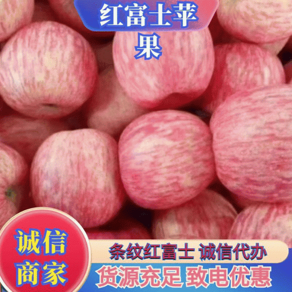 膜袋的红富士苹果，产地直销，一手货源，量大，