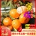 湖北精品蜜橘产地直供现摘现发皮薄多汁致电优惠