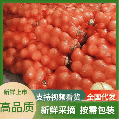 【畅销】蜜柚红心柚，白心柚大量上市基地直发，果大肉嫩