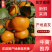 陕西城固高山蜜桔，规格齐全，皮薄汁多，一手货源。