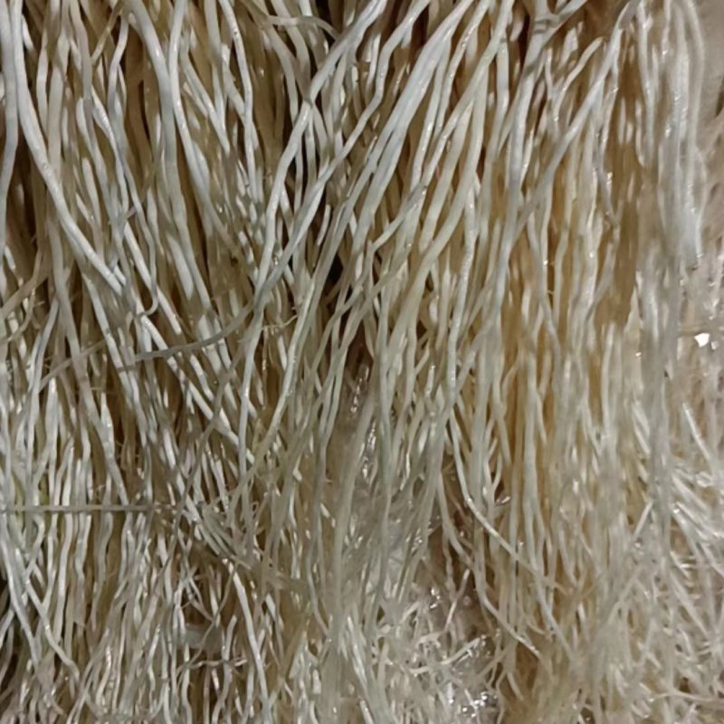 苤菜根，云贵川特有菜根