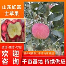 【苹果】山东红富士苹果条纹水晶富士冰糖心大量出库