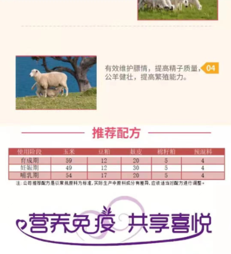 4%母羊预混料，妊娠期，哺乳期，繁殖专用饲料料