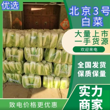 北京三号白菜大量供应中，各种包装各种标准