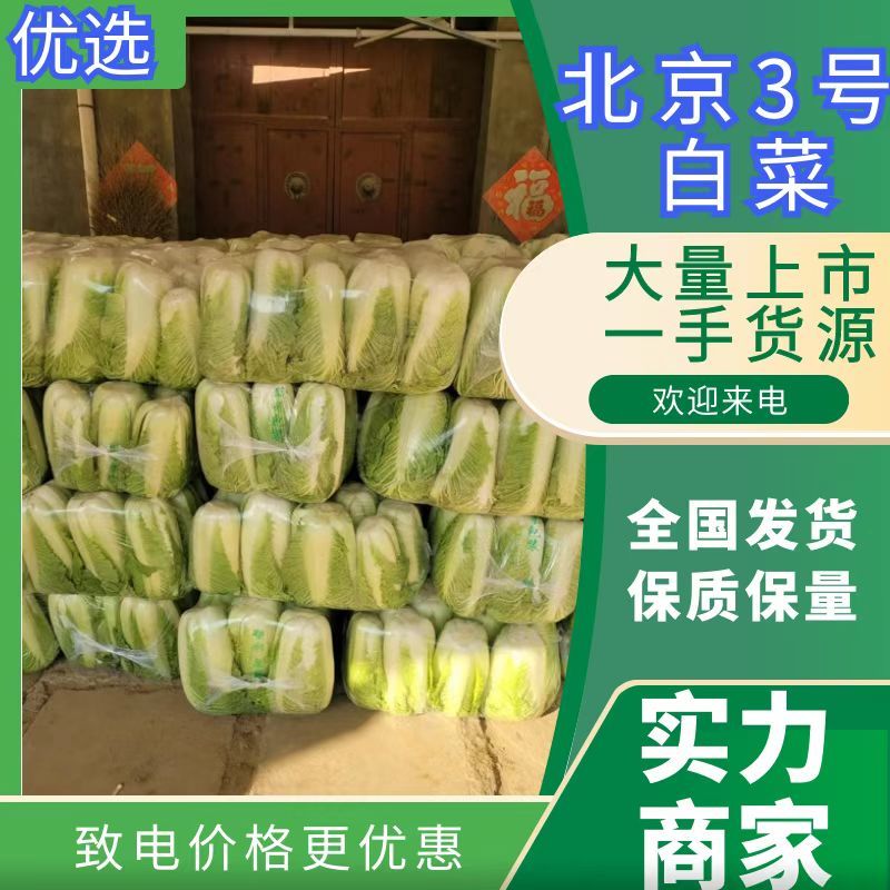 北京三号白菜大量供应中，各种包装各种标准