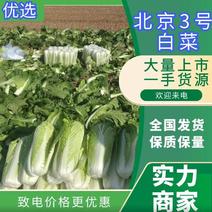 北京三号白菜白菜大量供应有需要的联系我量大质量硬