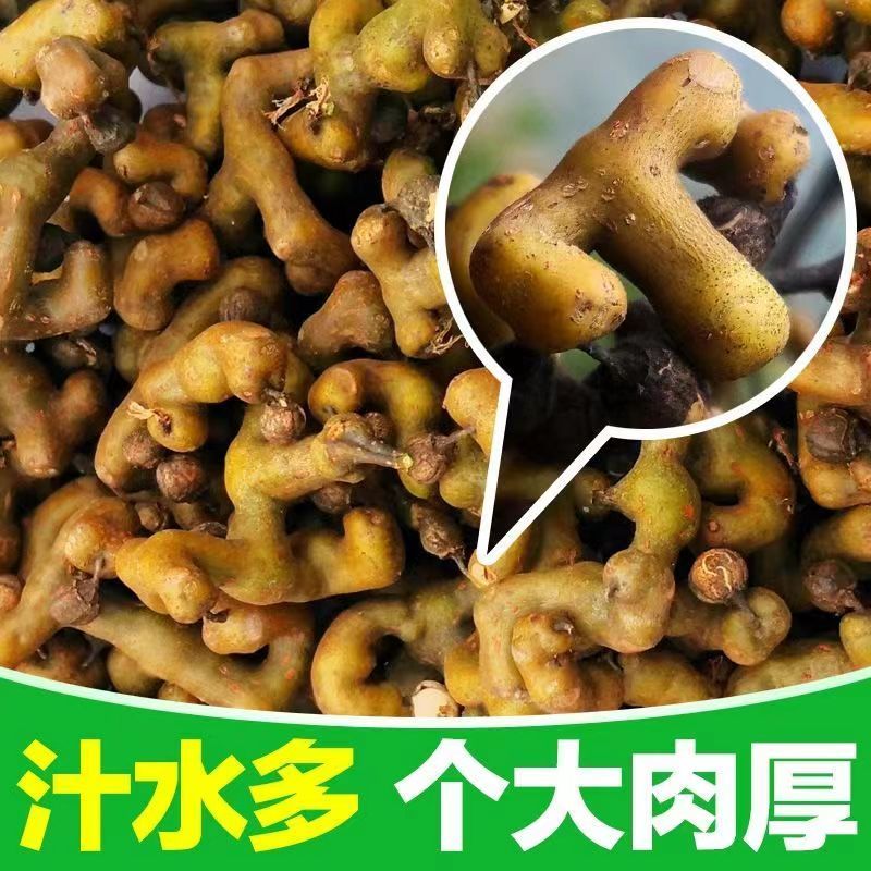 （基地直供）秦岭野生拐枣新鲜枳椇子泡酒煲汤万寿果鸡爪梨