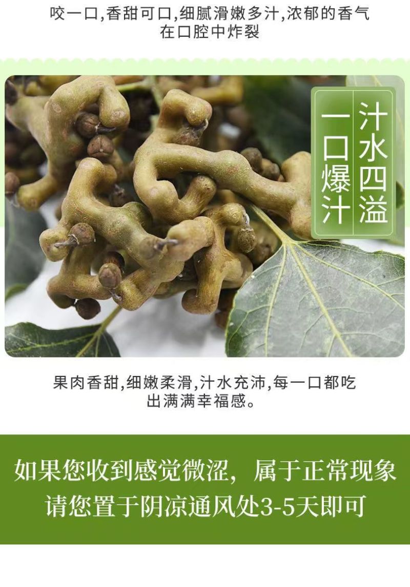 （基地直供）秦岭野生拐枣新鲜枳椇子泡酒煲汤万寿果鸡爪梨