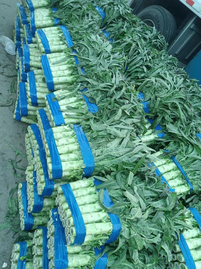 红叶香莴苣精品莴笋，产地直发，实力代办，量大优惠