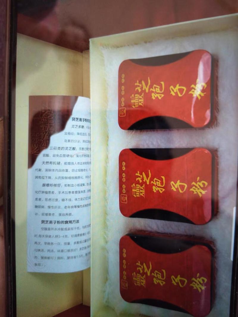 山东冠县灵芝盆景六层一手货源，视频看货，诚信经营