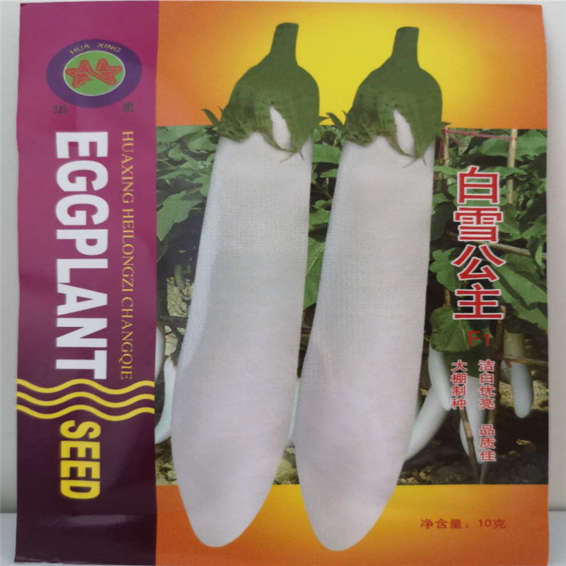 白长茄种子基地用种高产白雪公主茄子种子早熟杂交优质丰产