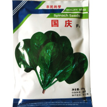 进口杂交春秋大叶厚肉菠菜种子国庆菠菜250g直立黑圆