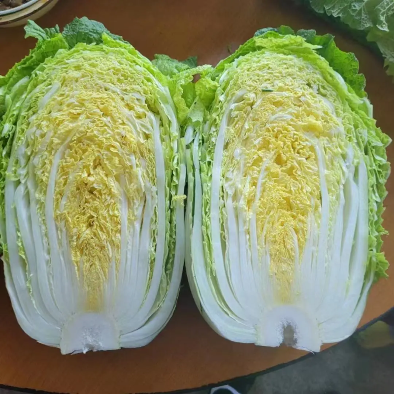 【白菜】江苏黄心白菜现砍现发可视频看货品质保证