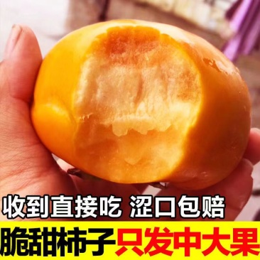 陕西阳丰甜柿，脆甜可囗，色泽艳丽，体内无核，量大从优