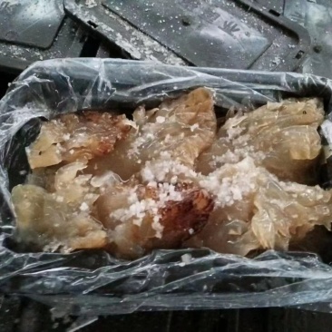特级野生海蜇头麻海蜇头