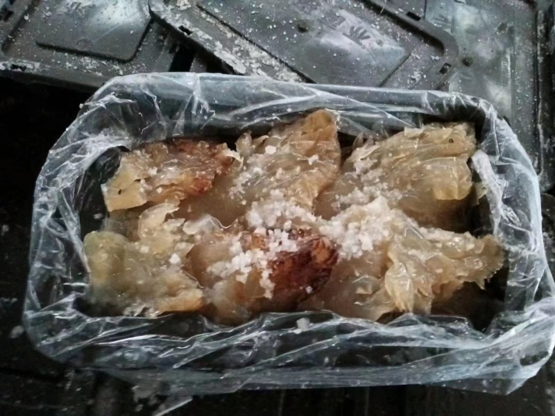 特级野生海蜇头麻海蜇头