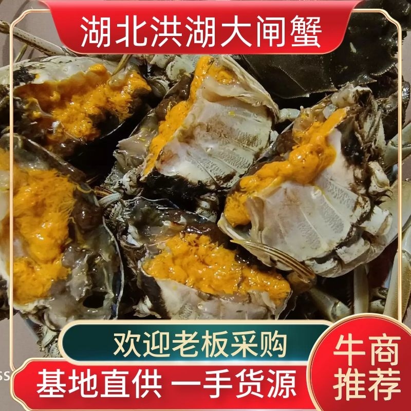 大闸蟹，洪湖大闸蟹，产地货源，品质保证，（下单请先咨询）